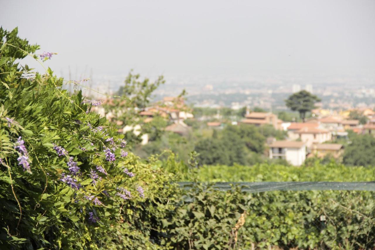 Appartamento In Villa Santa Caterina Frascati Exterior foto